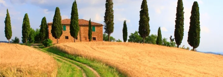 Toskanische Landschaft mit Zypressen